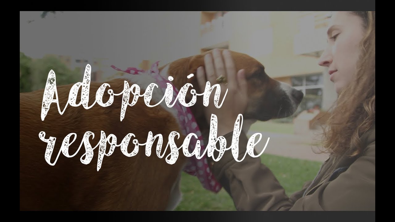 Adopci&oacute;n Responsable