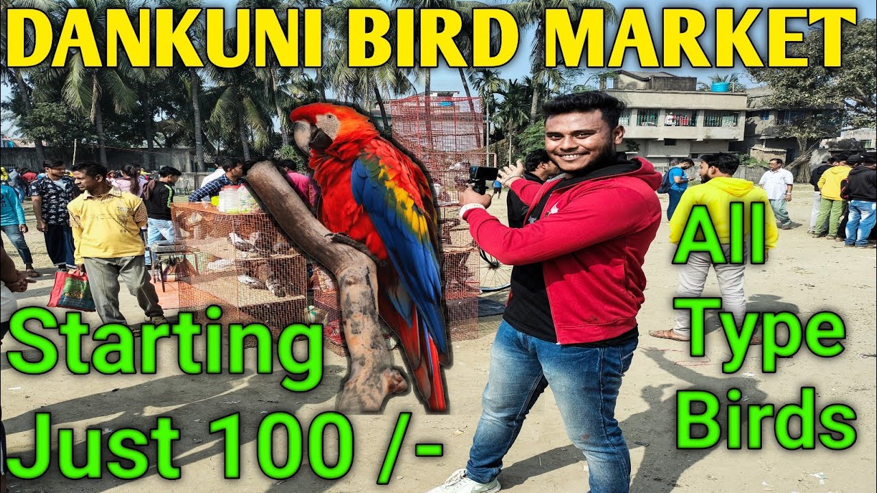 Dankuni Pet Market || All Varity Breed Are Available ||Journey With Soumen