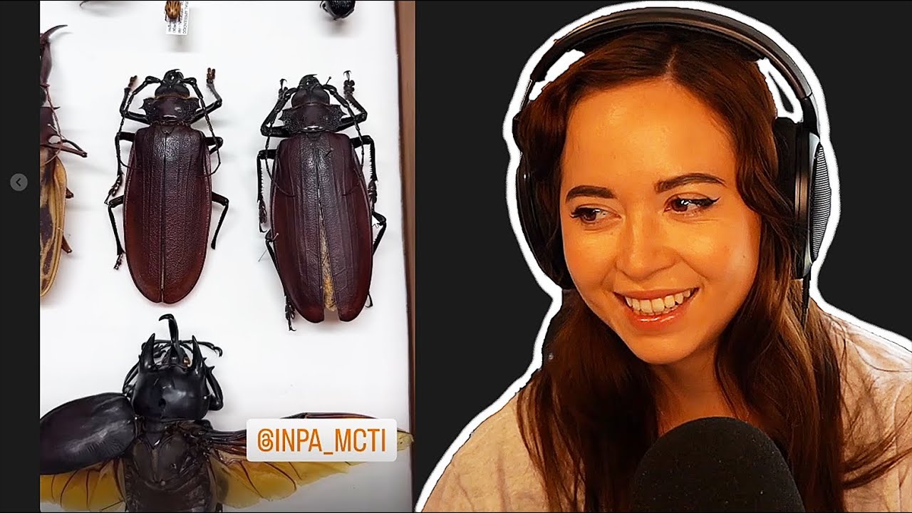Maya shows all the SICK bugs she saw in Brazil