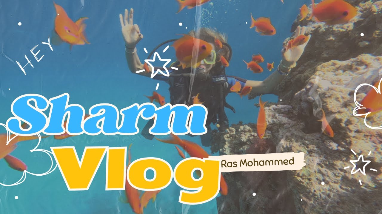 Bunu yapmadan Sharm’dan dönme 🤿🐠🪸🌞