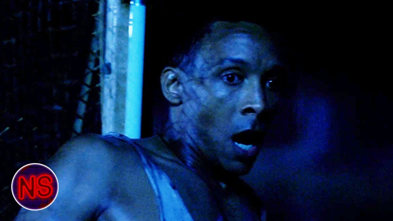 Croc Attack on the Dock | Lake Placid: Legacy | Now Scaring