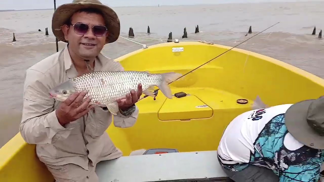Malecones en el rio de la plata Berisso, Paraíso de las bogas.