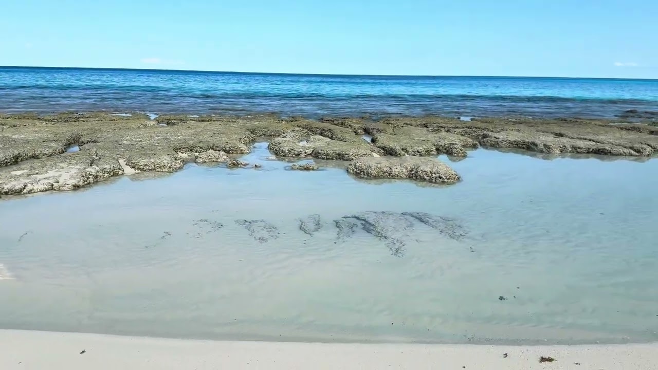 Peaceful Ocean Walk 🌊 Soothing Music & Waves Relax #nature #ocean #stressrelief #relaxingmusic #4k 
