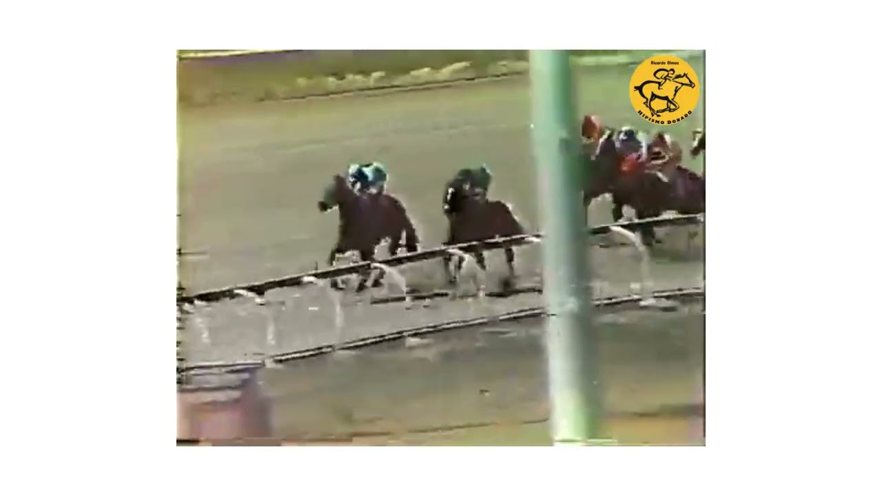 🔅  Carrera Comun Vcia 1983 ON MAGIC 🔅