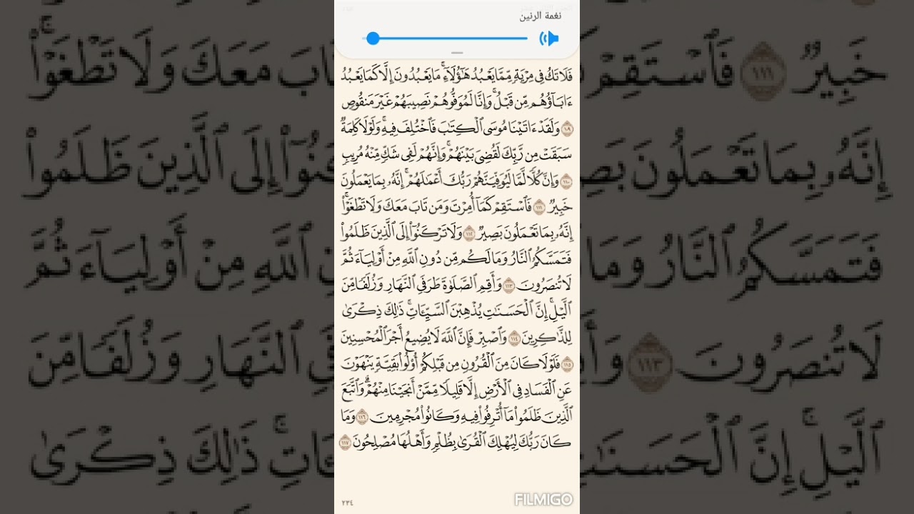 تفسير السعدي صفحة 234 سورة هود من الاية (109) الى الاية (117)