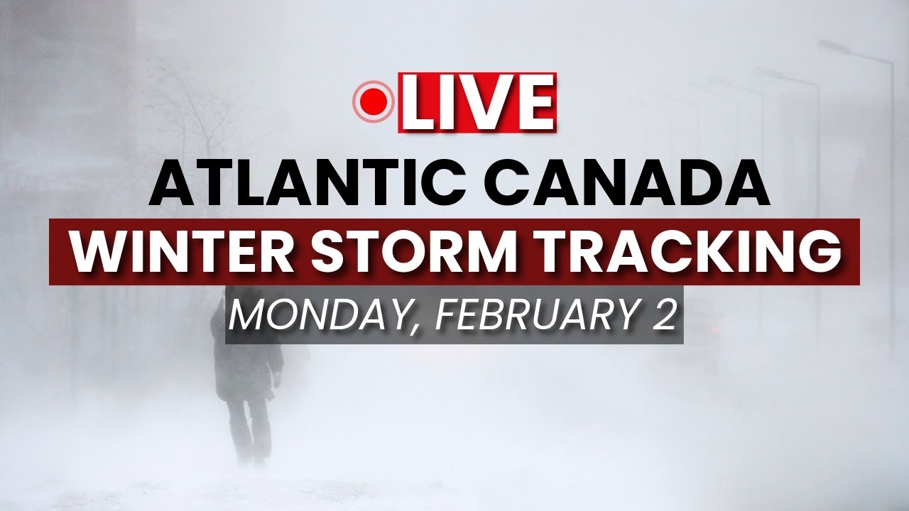 LIVE TRACKING: Groundhog Day Predictions Amid a Nor'Easter Striking Atlantic Canada
