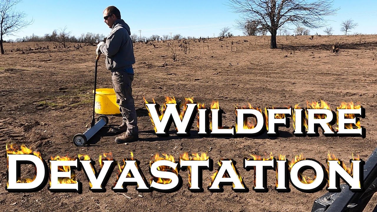 Smokehouse Creek Fire Took My Bees | Sifting Through the Ashes