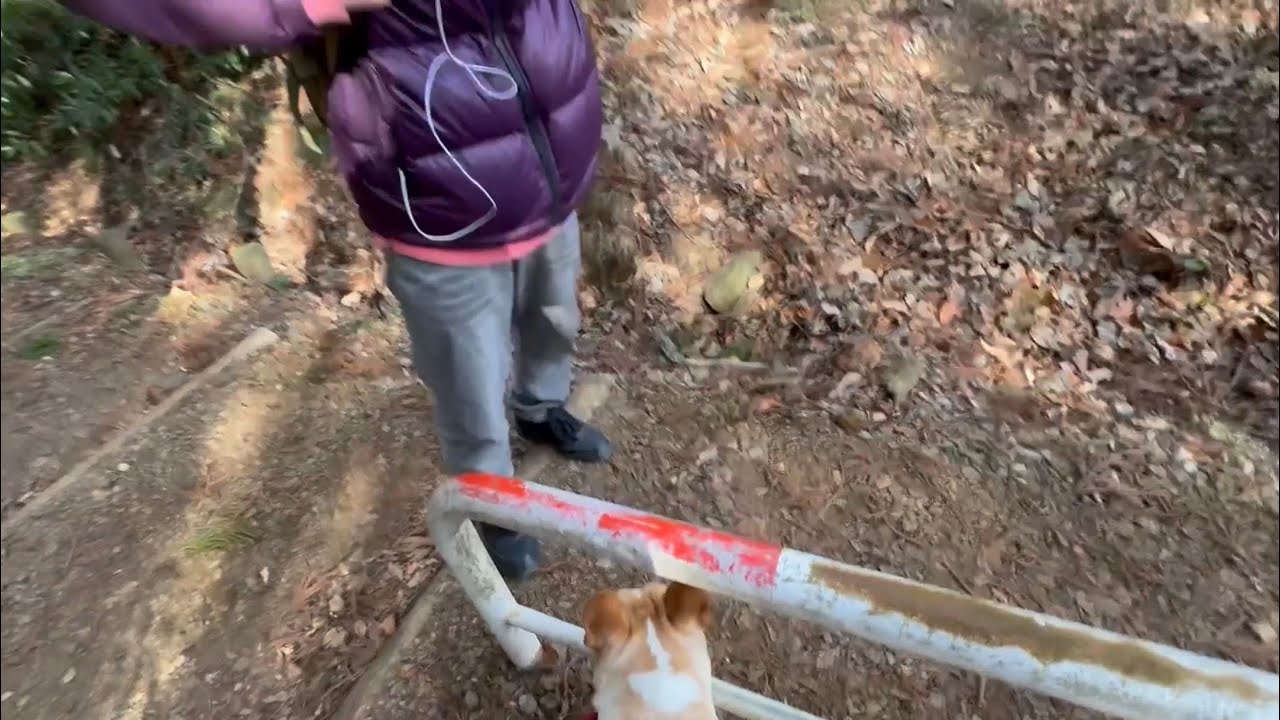 【ガチ】散歩中に視聴者に特定されました