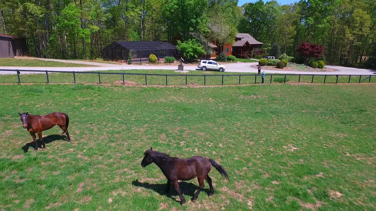 50 ACRE GEORGIA HORSE FARM DRONE VIDEO