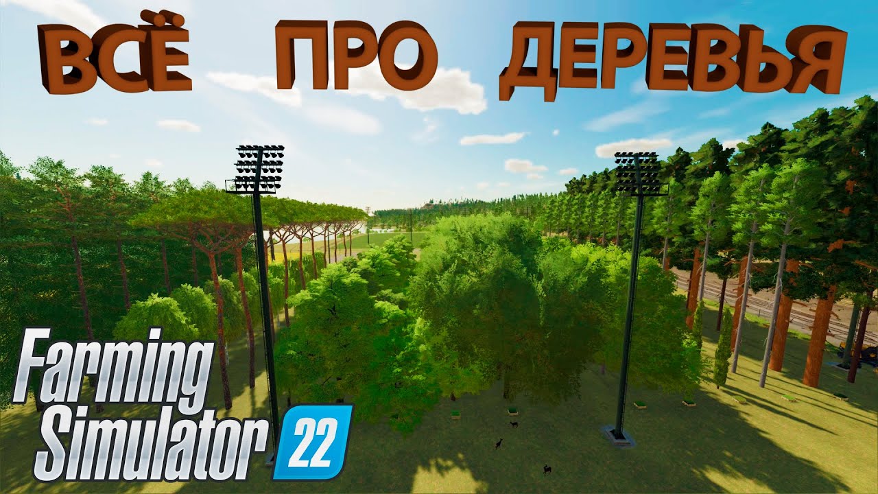 ВСЕ ЧТО НУЖНО ЗНАТЬ ПРО ДЕРЕВЬЯ НА КАРТЕ 