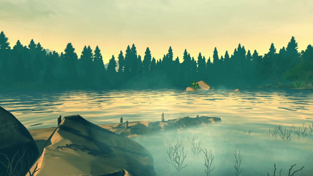 1 HOUR LAKESHORE 🎧 For Studying | Relaxing | Sleeping (FIREWATCH Ambience - NO MUSIC)