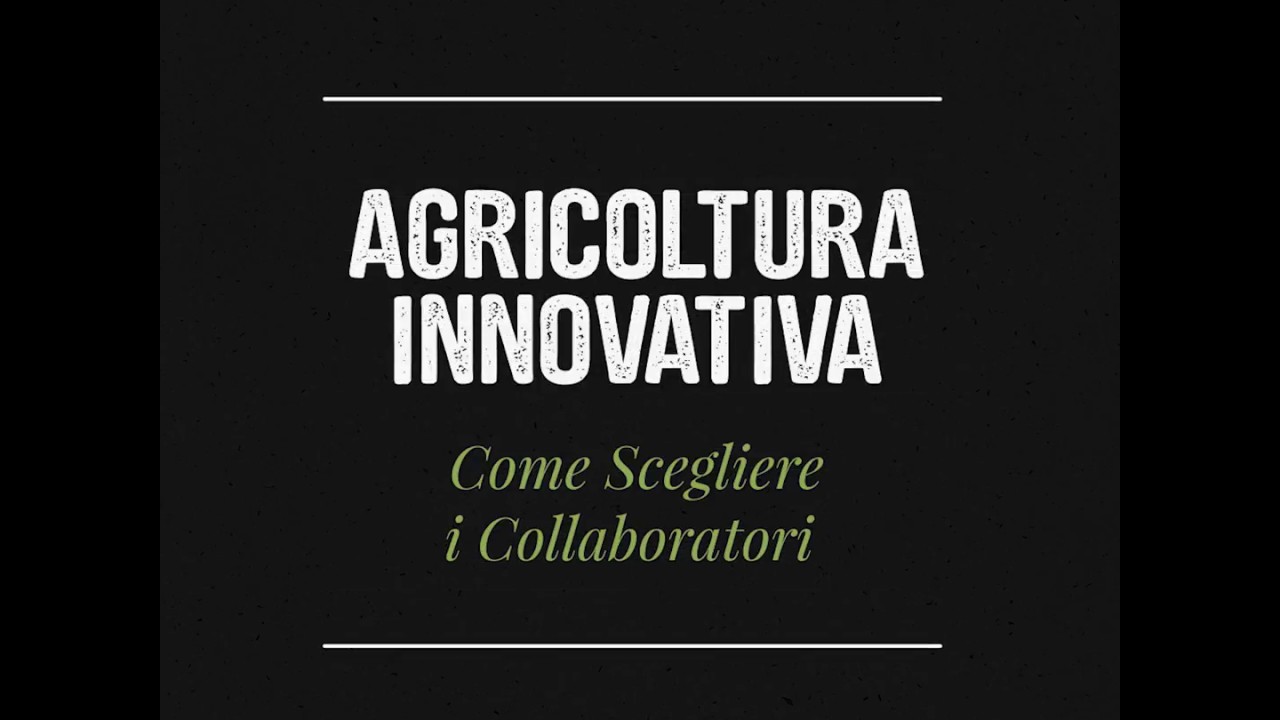 Come Scegliere i Collaboratori