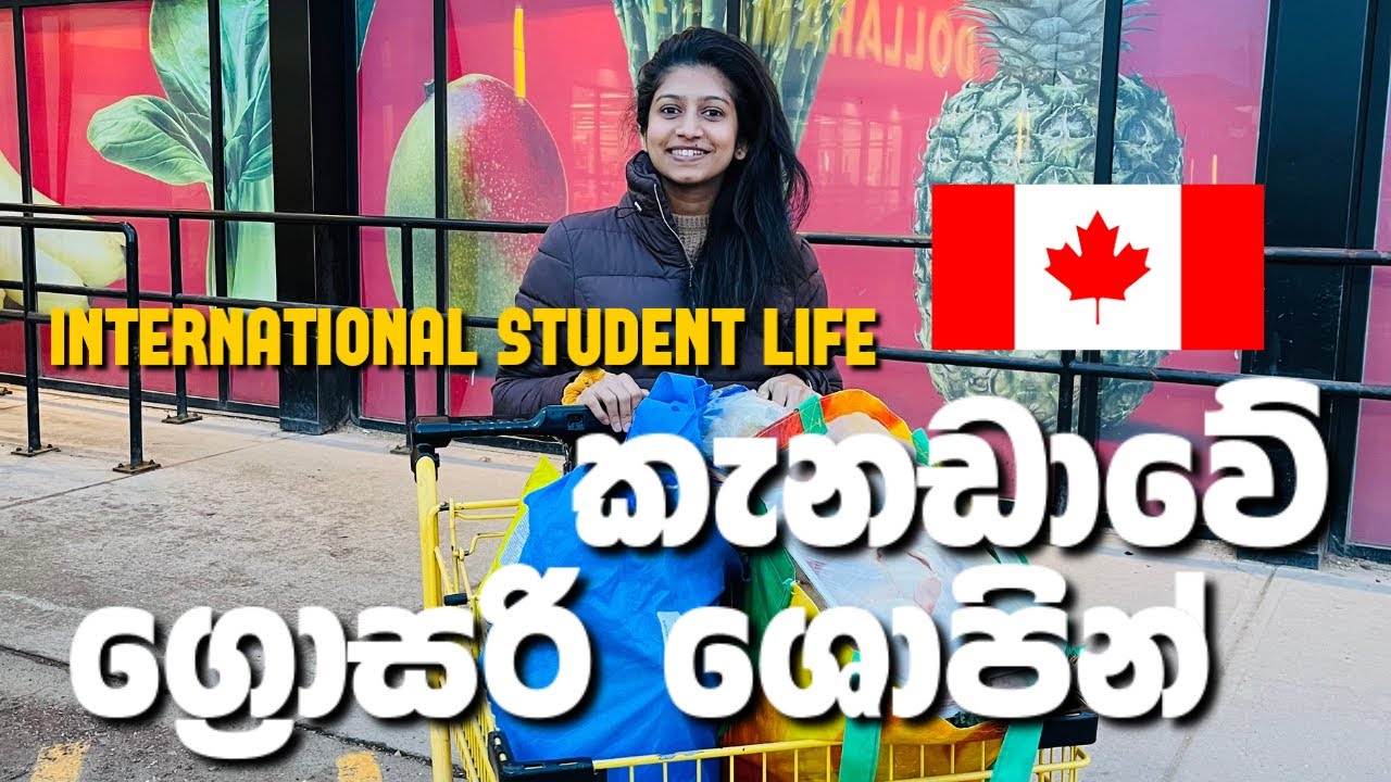 කැනඩාවේ ග්‍රොසරි ශොපින් 🇨🇦Grocery Shopping in Canada | Food prices in Canada | Canada Sinhala Vlog