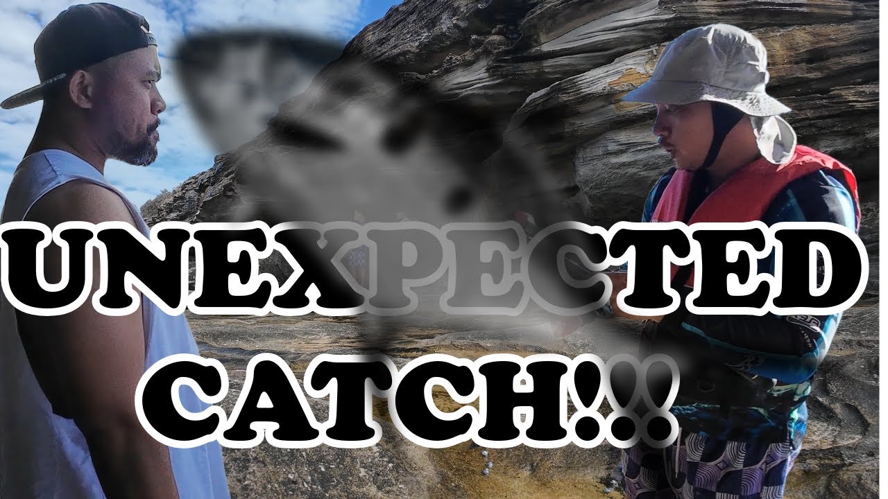 The Curl Curl Chase: Fishing Beyond the Rocks