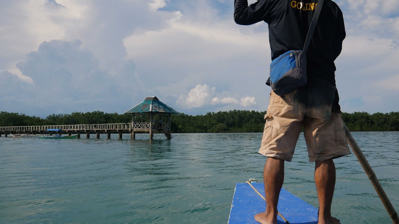 About a Doc pt 2: Tanon Strait & the Bais City Sea Wardens