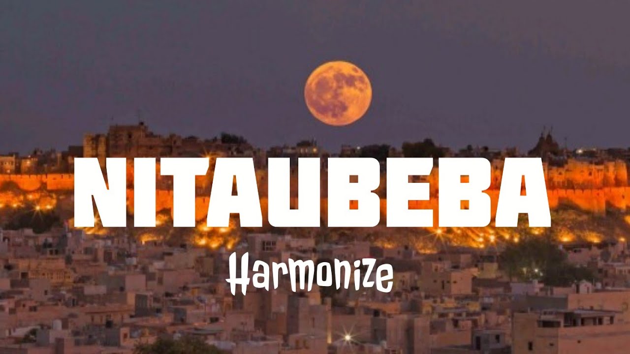 Harmonize - NITAUBEBA [Official Lyrics Video]