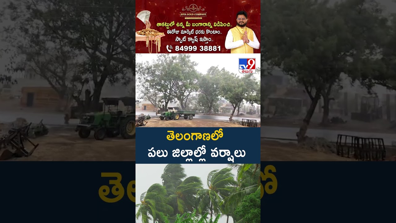 Weather Updates : తెలంగాణలో పలు జిల్లాల్లో వర్షాలు | Telangana Rains - TV9