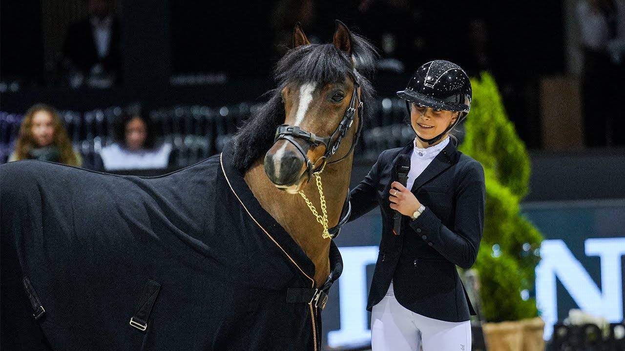 Les adieux de Qopper Der Lenn - Jumping International de Bordeaux