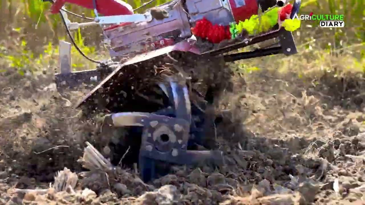 Power Weeder demo by Rahul Enterprise in Coochbehar, West Bengal | weeder WM 990 and WM 1100C Elite.