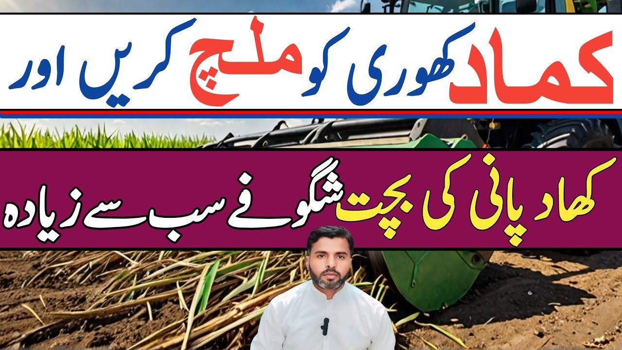 SUGARCANE Farmers Must See This Rotavator Machine Technology! | Farming Expert 786