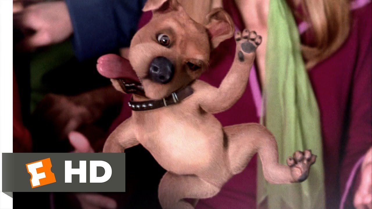 Scooby-Doo (6/10) Movie CLIP - Scrappy-Doo (2002) HD
