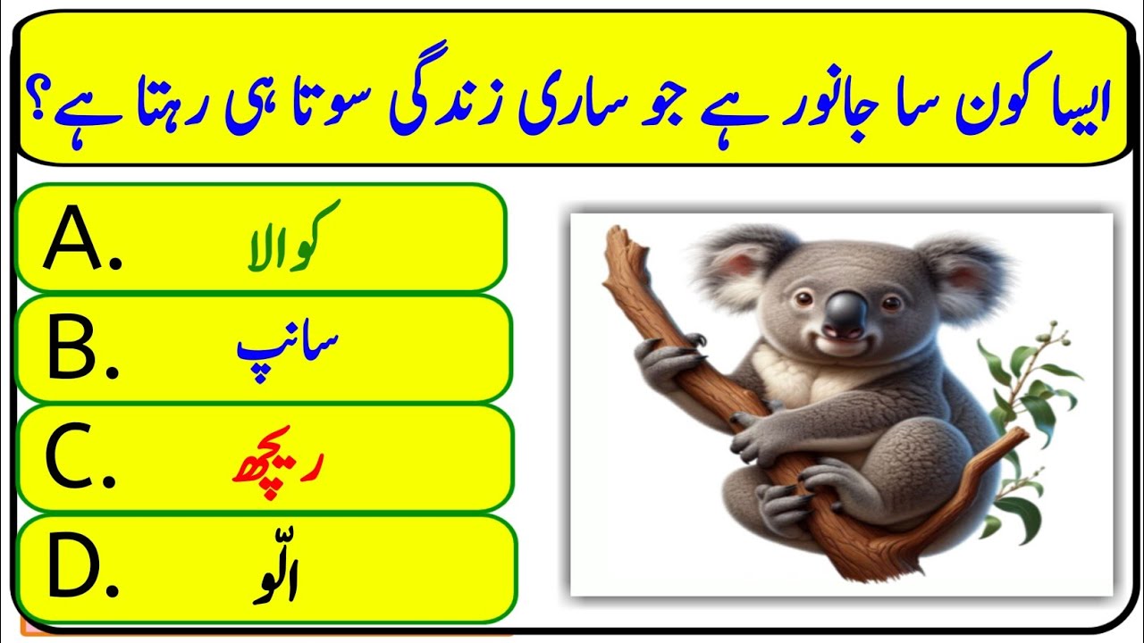 Test Your Mind: 101 Urdu Riddles | Brain Teasers in Urdu| #sawaljawab