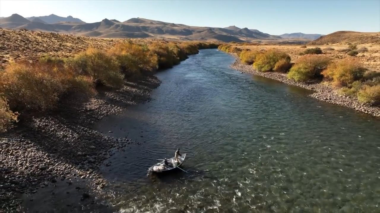 Como Pescar Ríos Grandes Técnicas Shooting Academia Aguas Arriba junto a Patagonia Fishing Trips