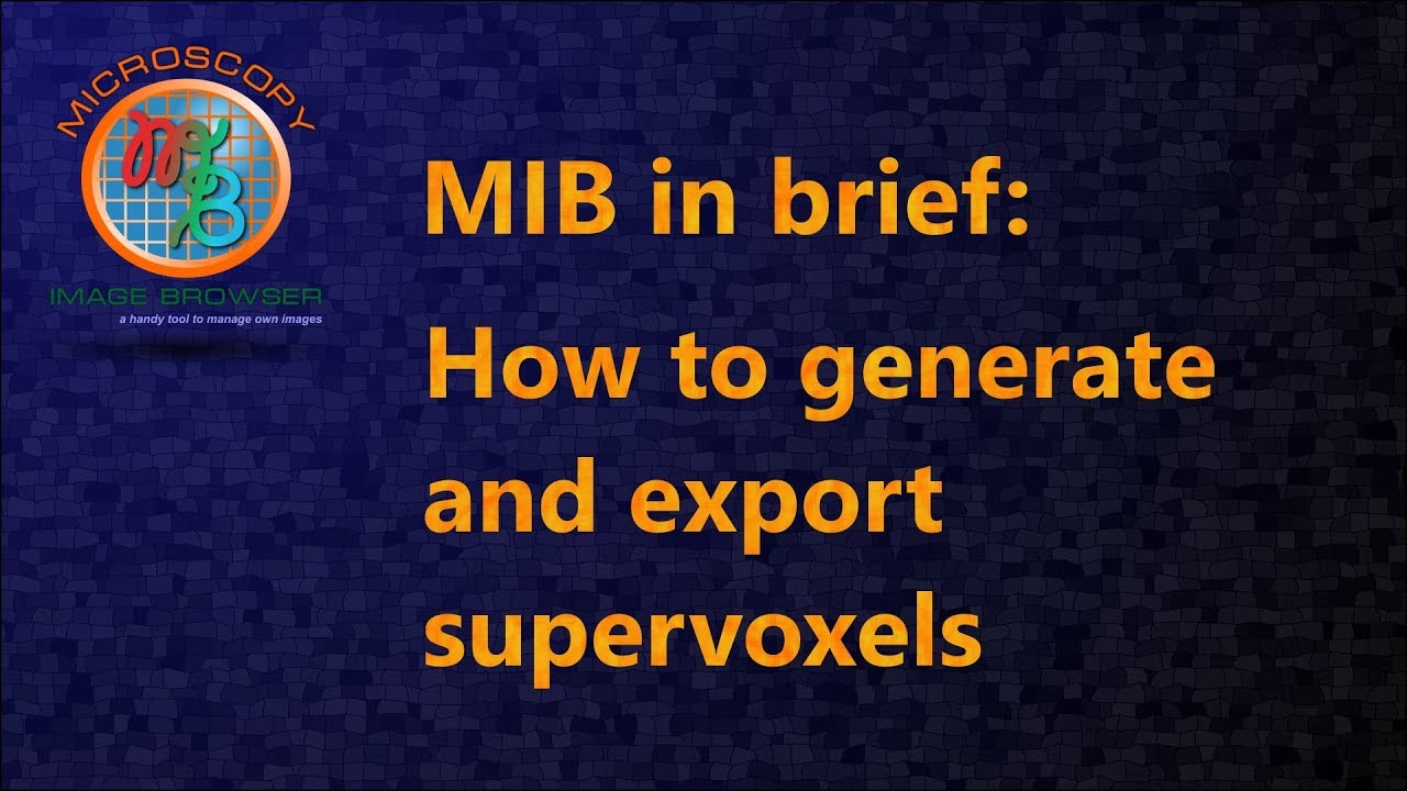 MIB in brief: How to generate and export supervoxels
