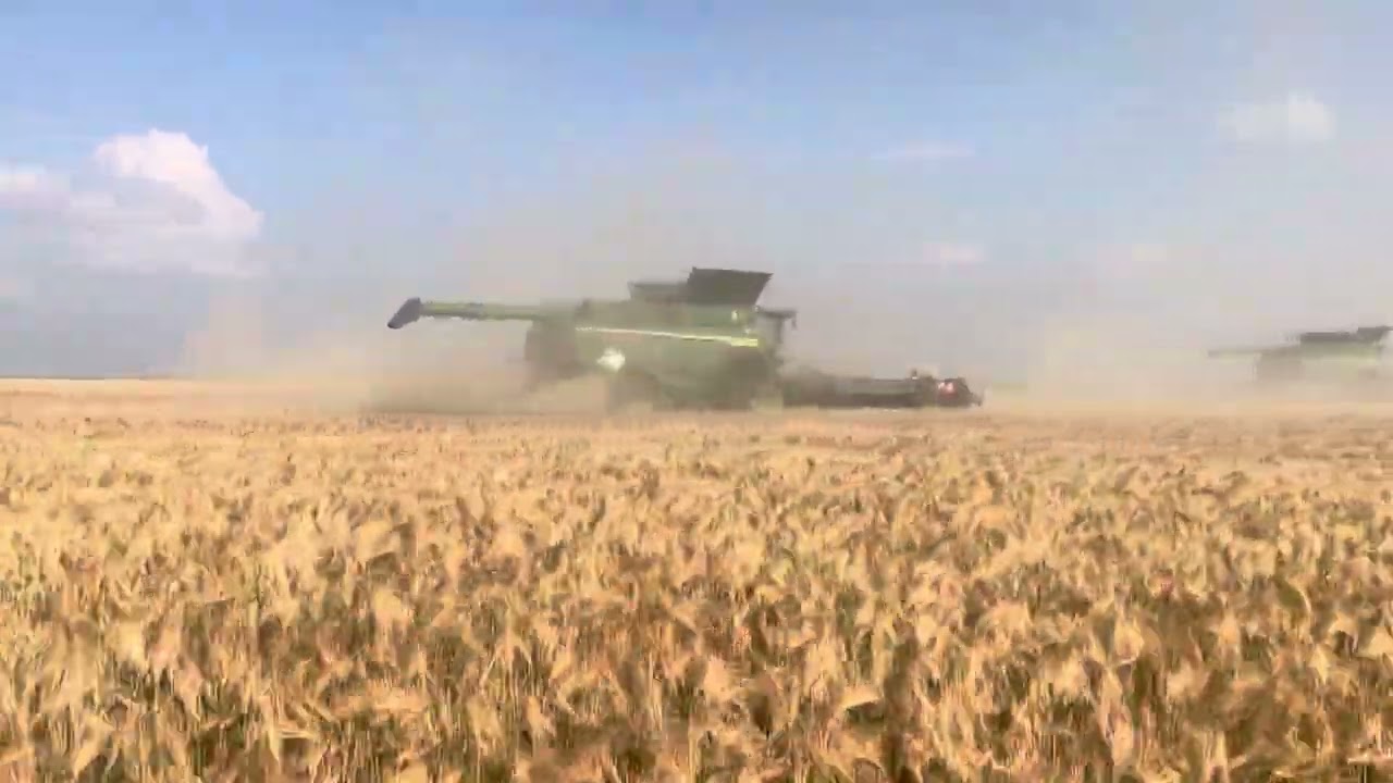 John Deere X9 Combines with 45&rsquo; Draper Headers Harvesting Barley August 2023