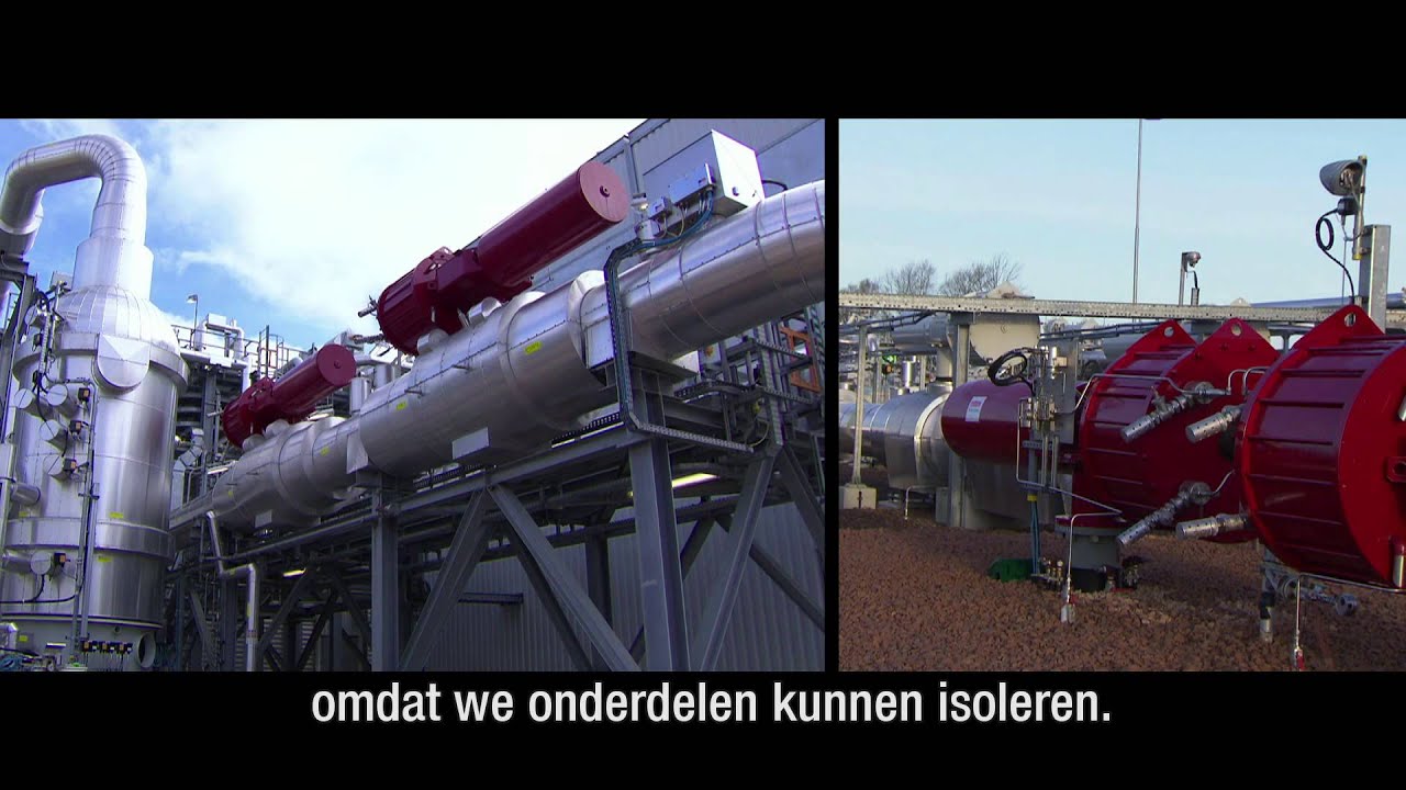 NED GSB TRAILER Trailer