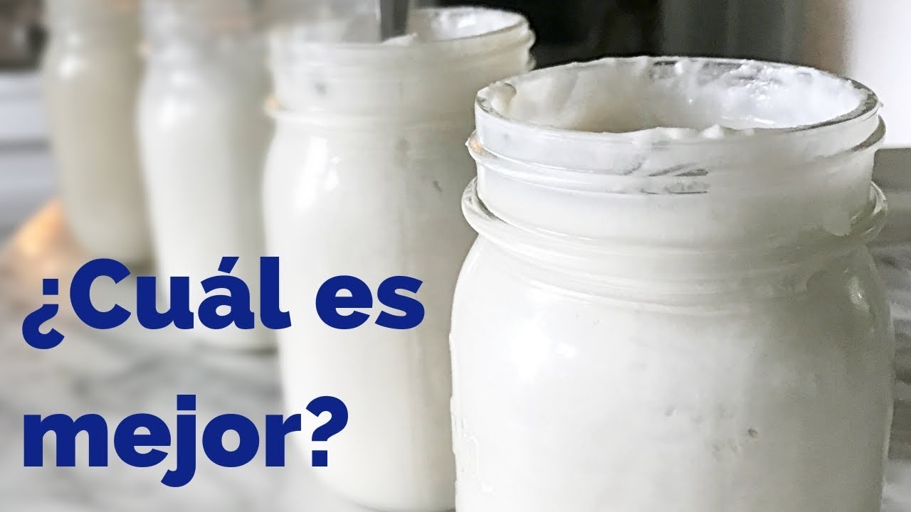 YOGUR VS. KEFIR - similitudes y diferencias