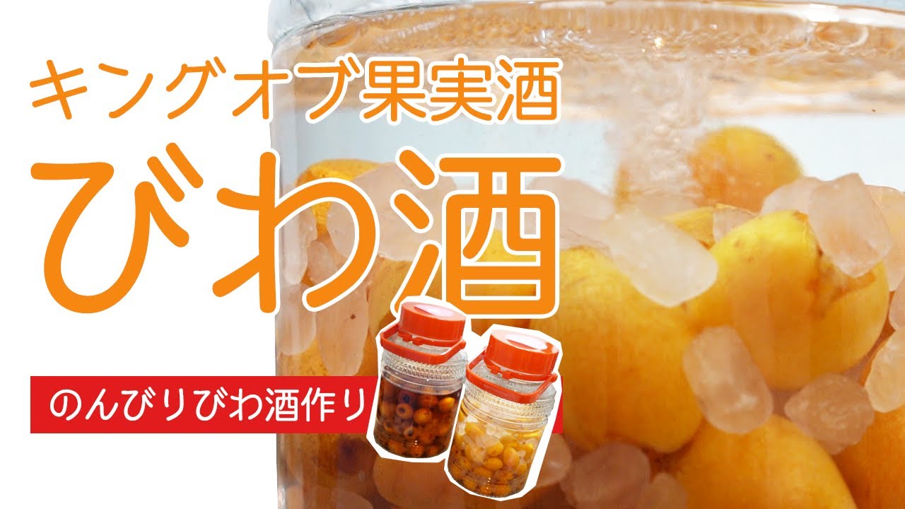 【キングオブ果実酒】もぎたてビワを使ってのんびりびわ酒作り！