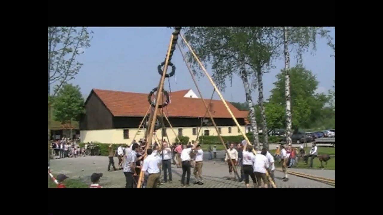Maibaumaufstellung 2009 in Aldorf/Landhut Germany