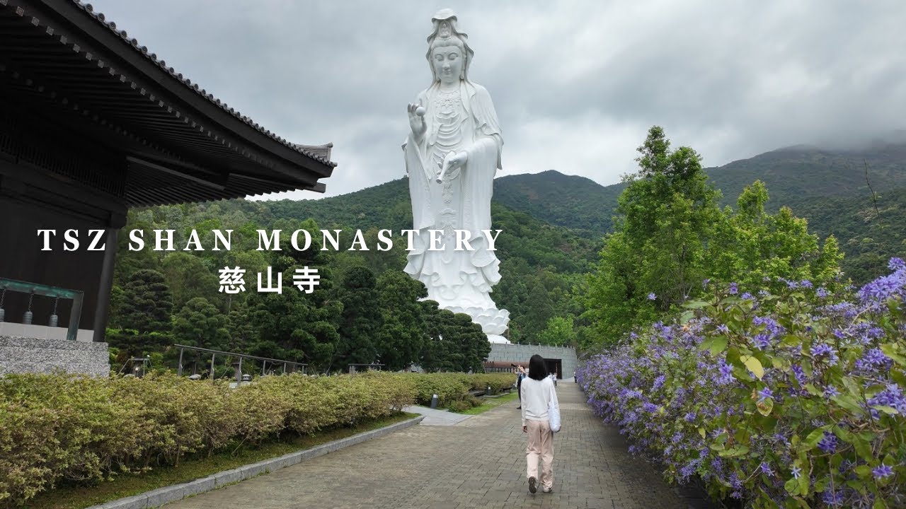 慈山寺 Tsz Shan Monastery 🪷 | Buddhist Temple in HK | Scenic environment 🏞️ | Spiritual experience 😌