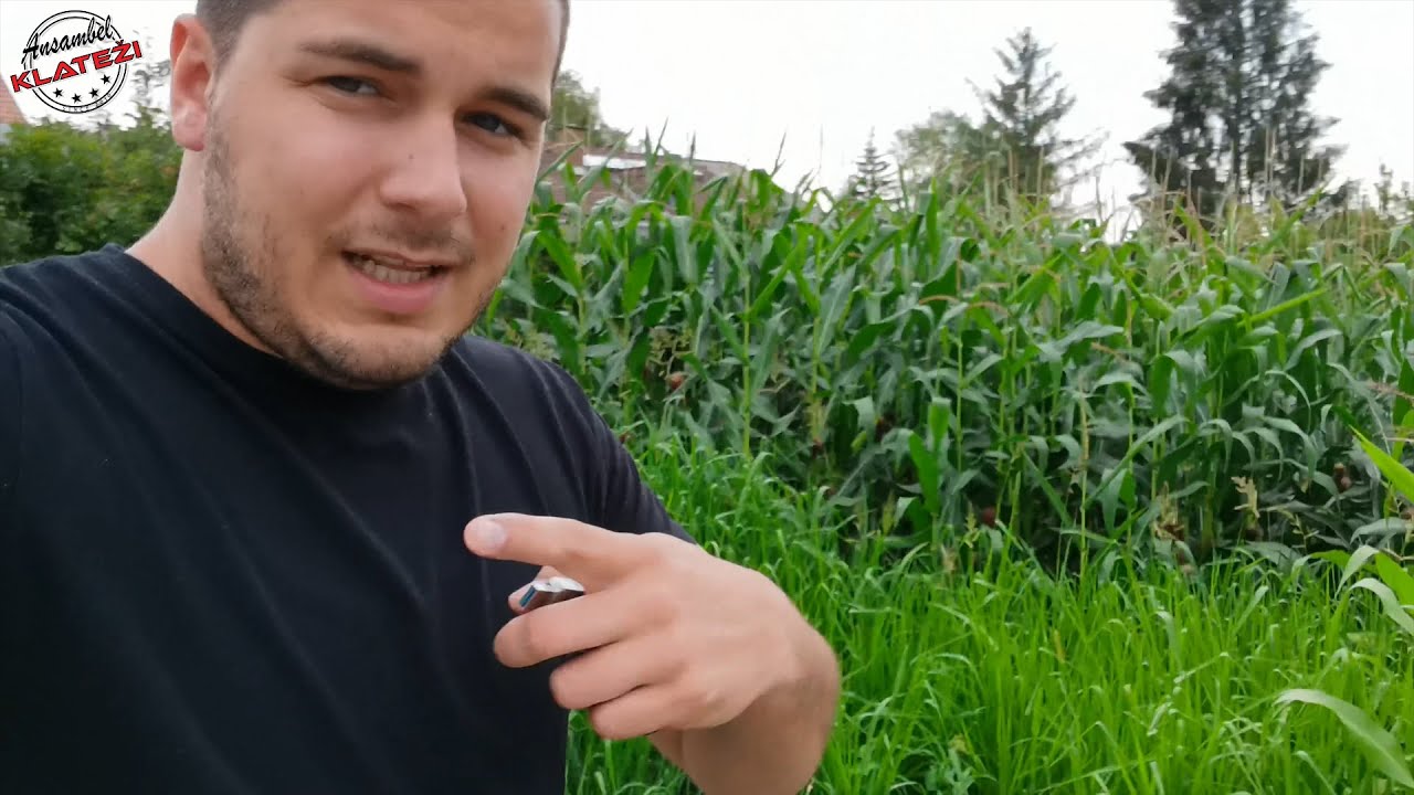 VLOG #77 - KDO JE NA KONCU KUPIL GREGORJEVO KITARO?