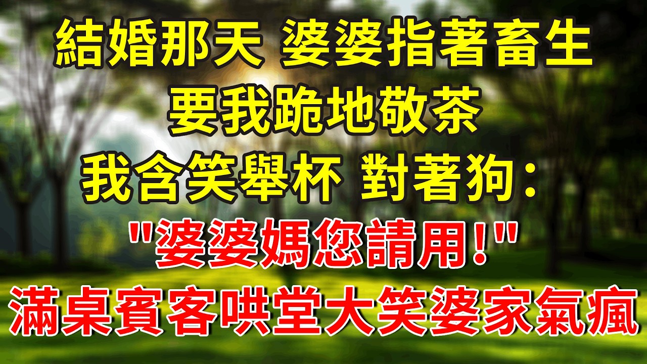 結婚那天，婆婆指著畜生要我跪地敬茶，我含笑舉杯，對著狗：「婆婆媽，您請用！」滿桌賓客哄堂大笑婆家氣瘋了#小說 #人生感悟 #故事分享 #故事 #故事頻道 #正能量 #情感 #情感故事 #感情