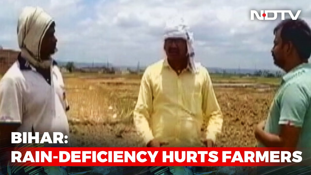 High Rainfall Deficit In Bihar Worries Farmers