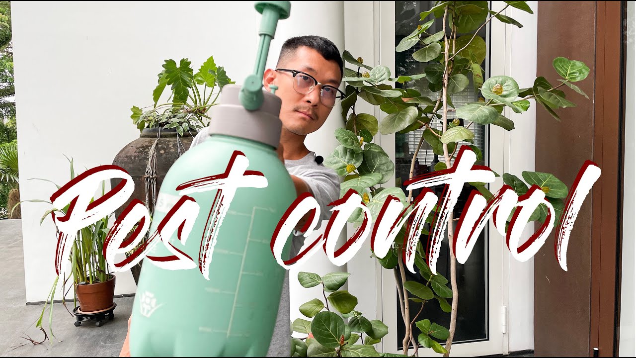 Pest control