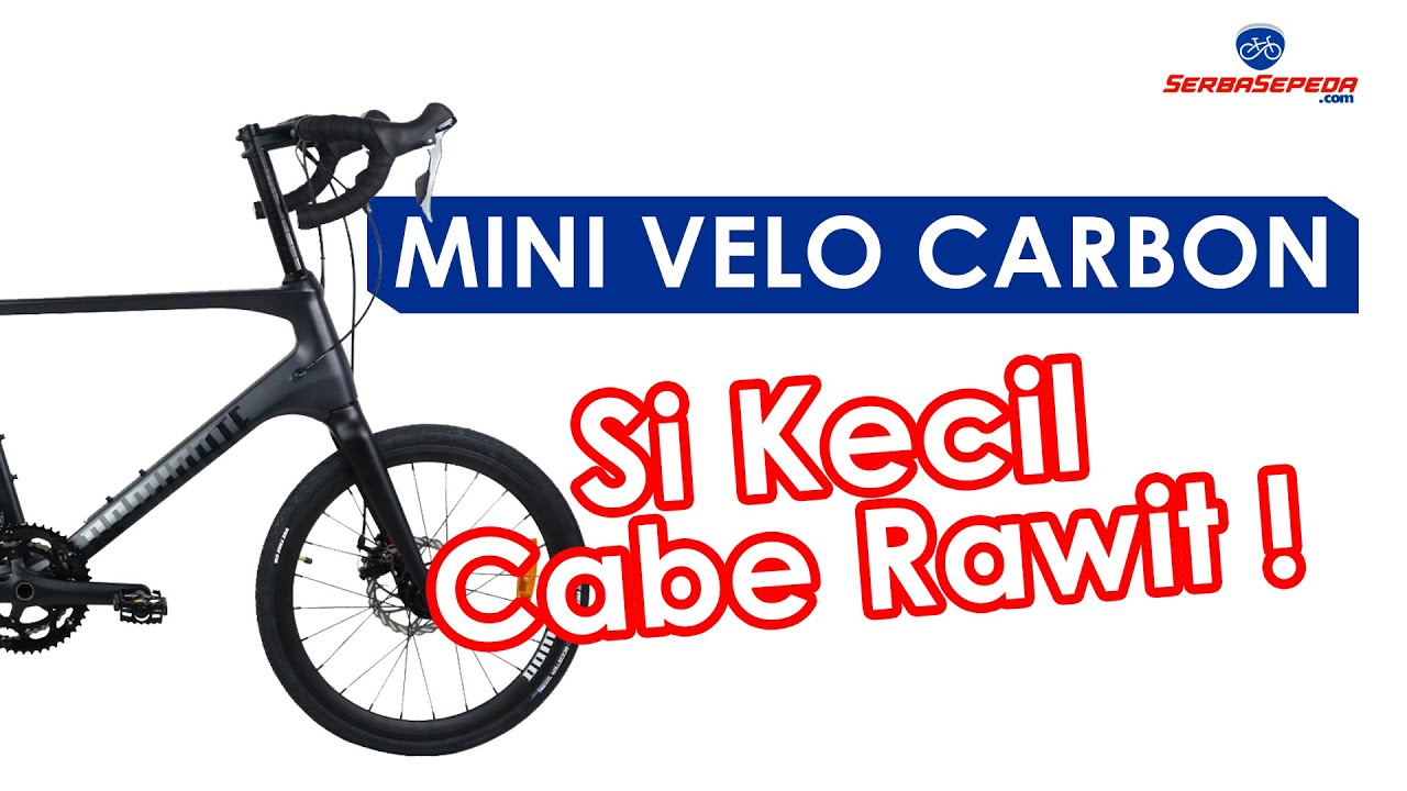 DOMINATE RAPIDE COMP MINI VELO SI KECIL CABE RAWIT ! | Harga dan Spesifikasi Lengkap