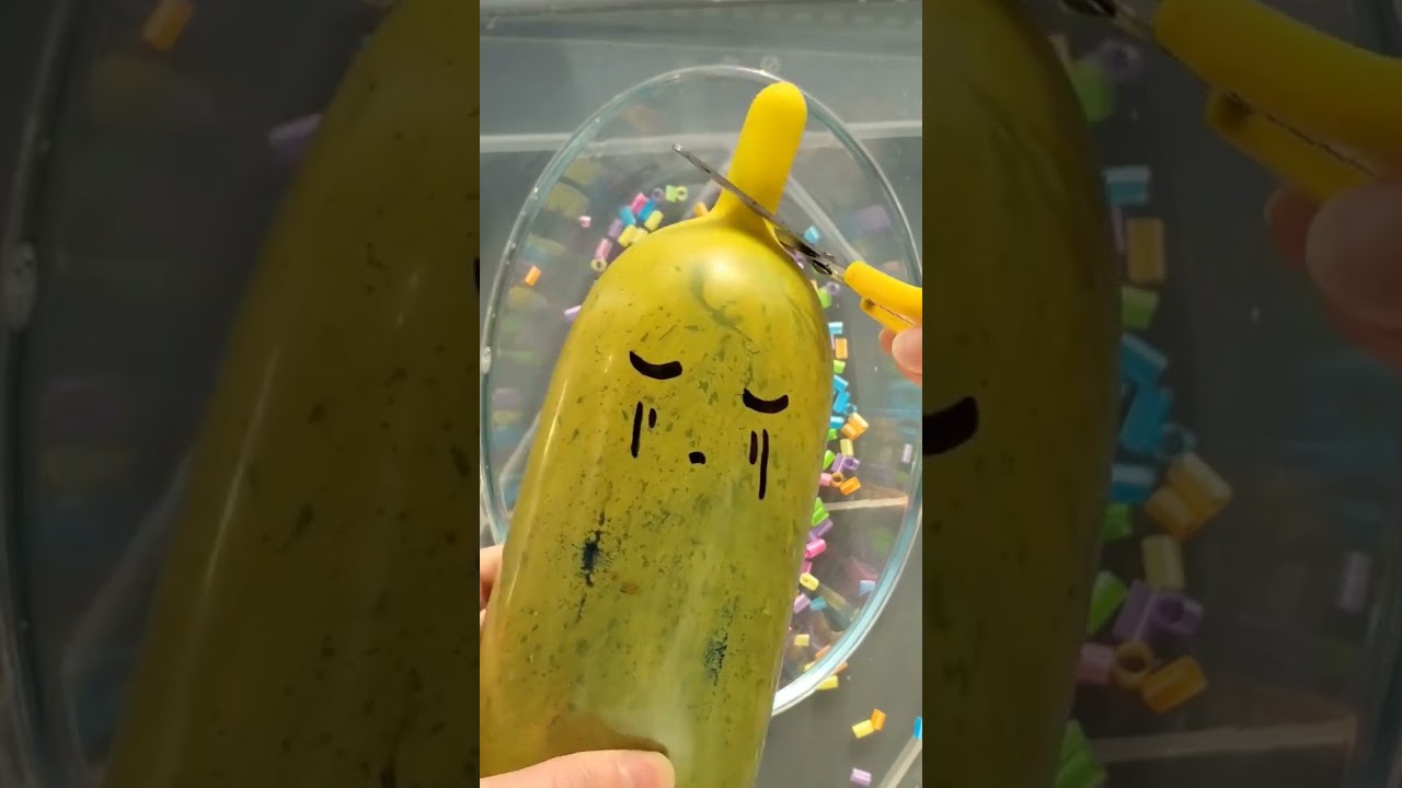 Bexigas Satisfat&oacute;rias #asmr #satisfat&oacute;rio