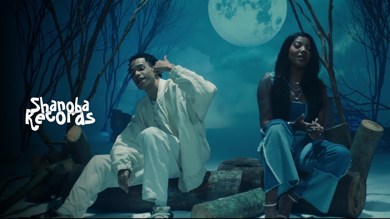 BIN - Apê 1001 FT. Ludmilla (LETRA/Áudio Oficial) | Shanoba