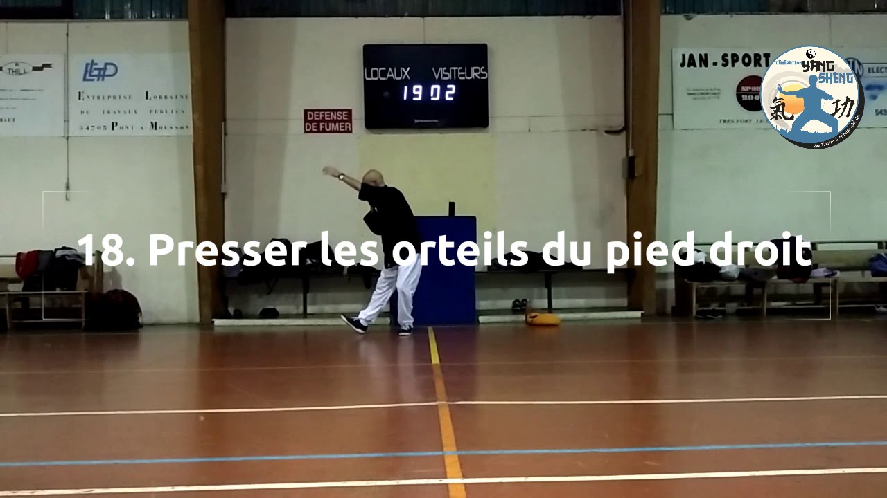 Qi Gong de l'Oie Sauvage - Dayan Qi Gong