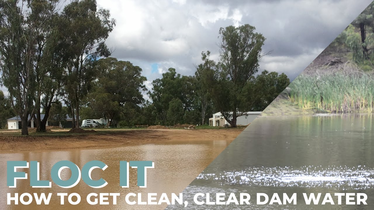 HOW TO GET CLEAN, CLEAR DAM WATER - Floc It - How To Clear Muddy Dams Fast