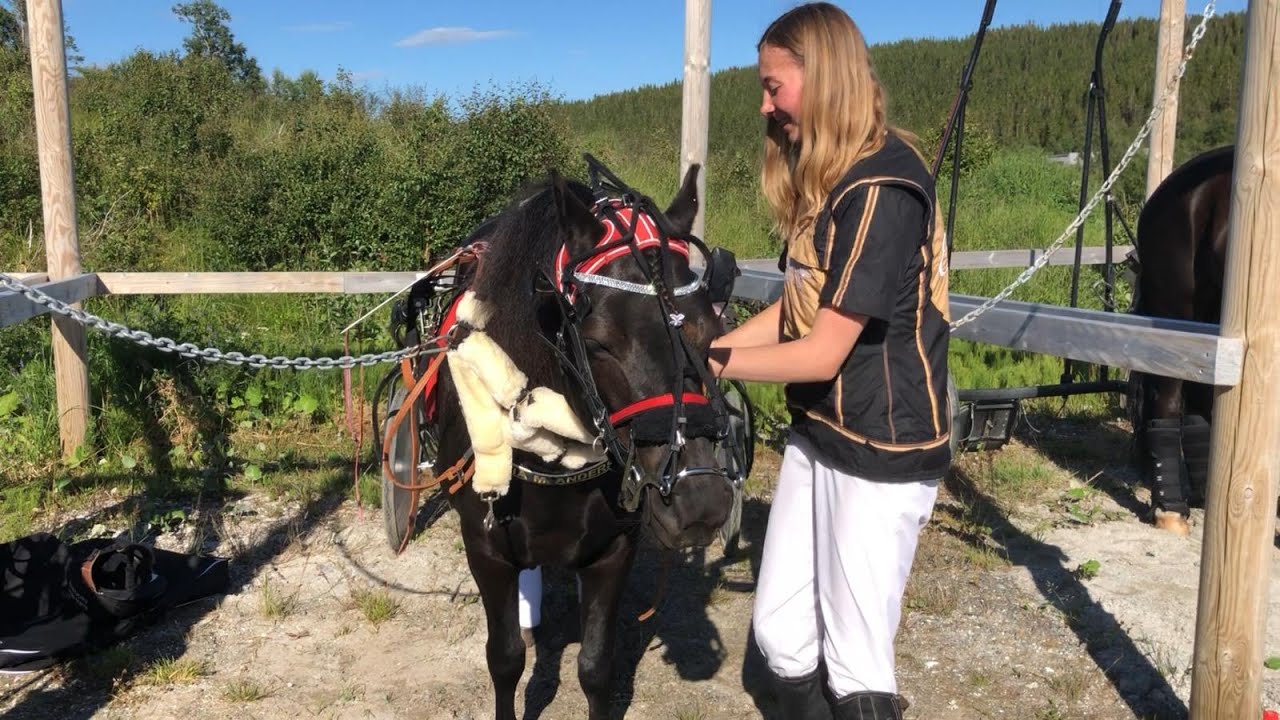 Rebecca Krogh Strøm vlog15 - Ponnitrav
