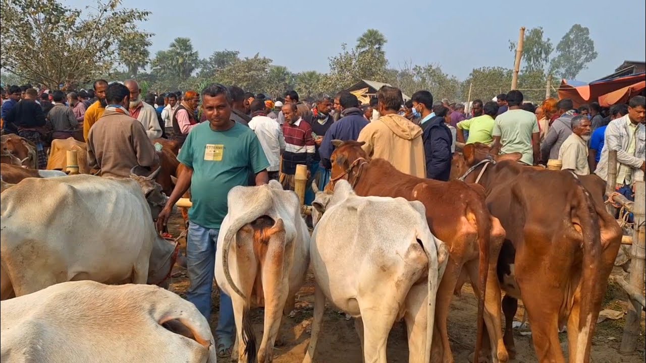 @আজ ২২ জানুয়ারি