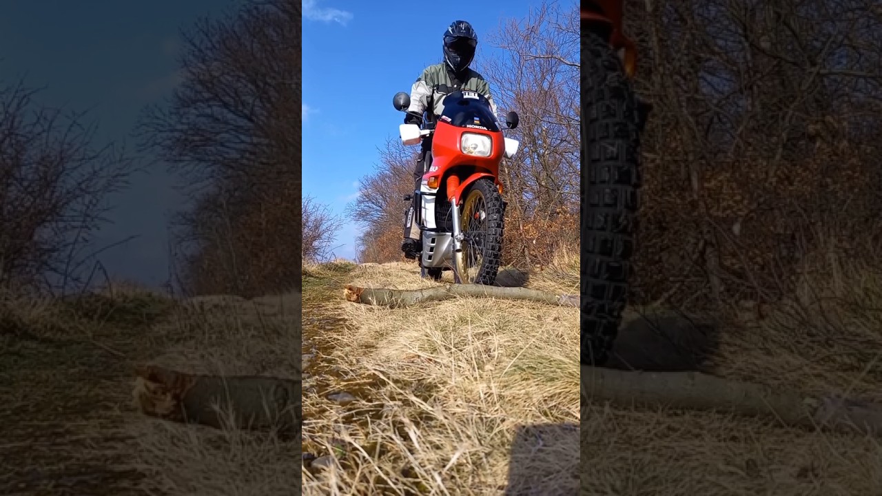 Honda Transalp PD06 🏁 First start 2025  #endurowandern #xl600