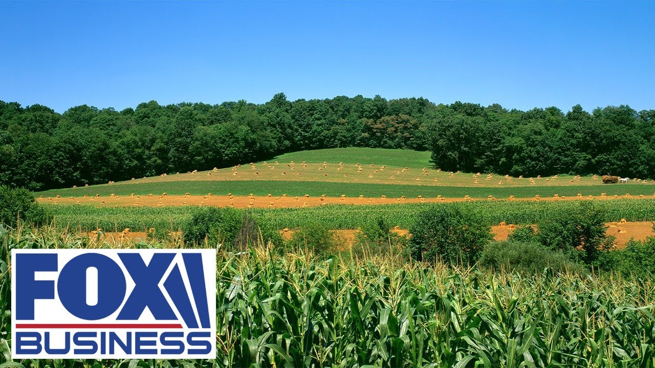 How the US economy is impacting farmers’ finances
