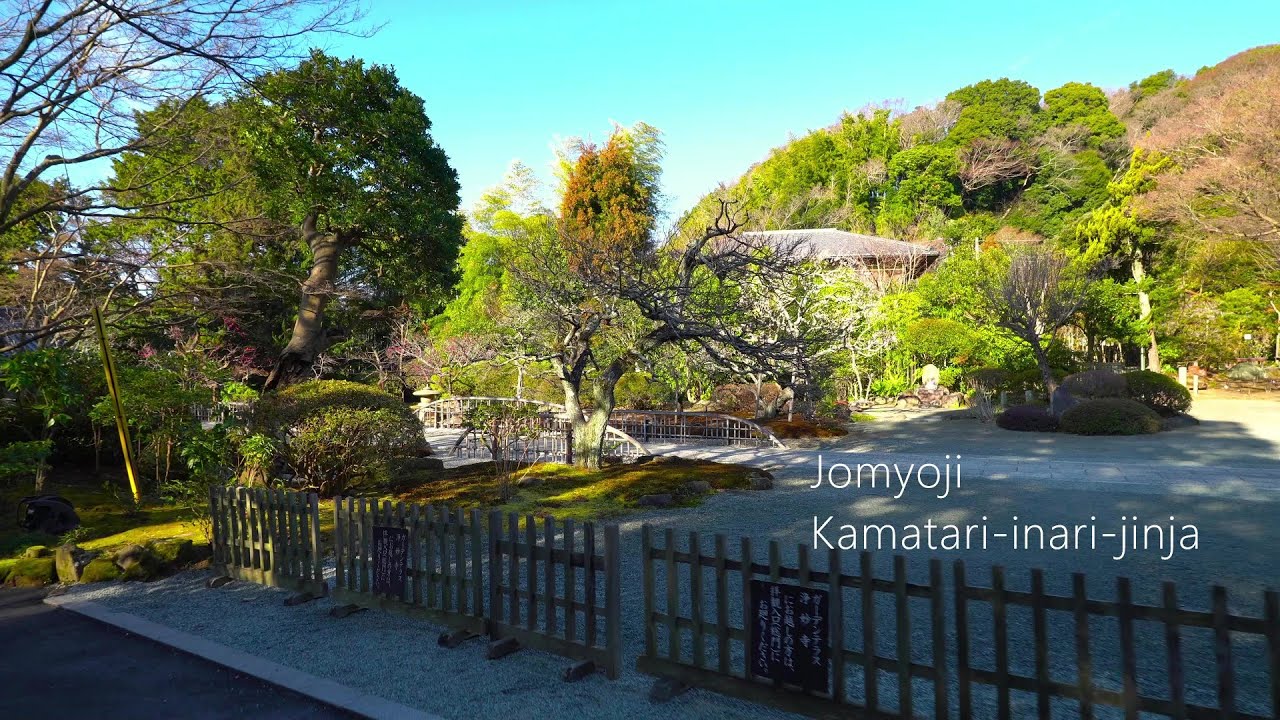 【鎌倉散歩】浄妙寺脇の丘にある『鎌足稲荷神社』へ［4K］