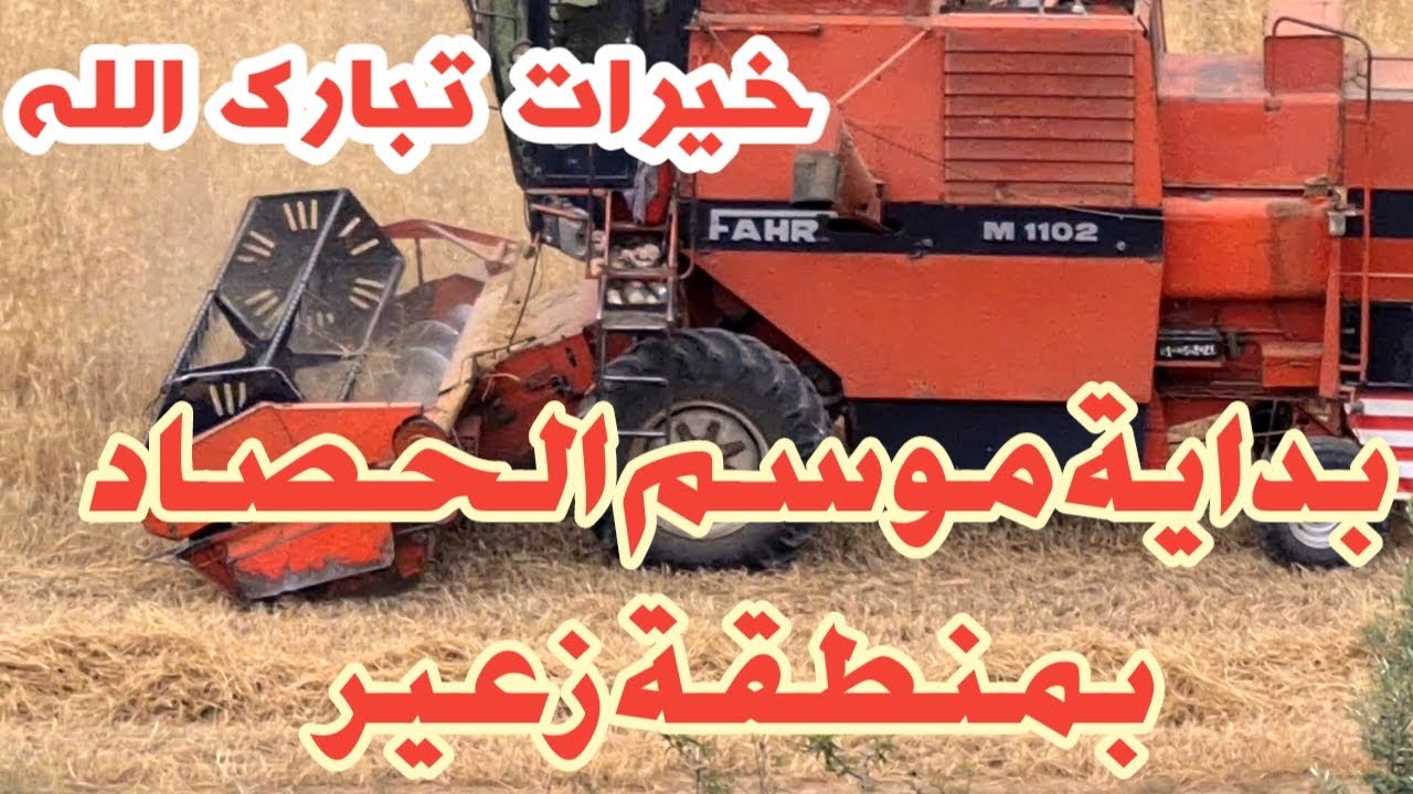 بداية موسم الحصاد بمنطقة زعير خيرات ربي