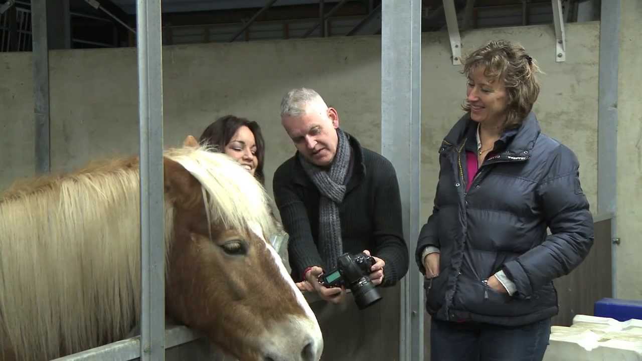 Caprilli Coaching -  Shoot -  Blik op Werk